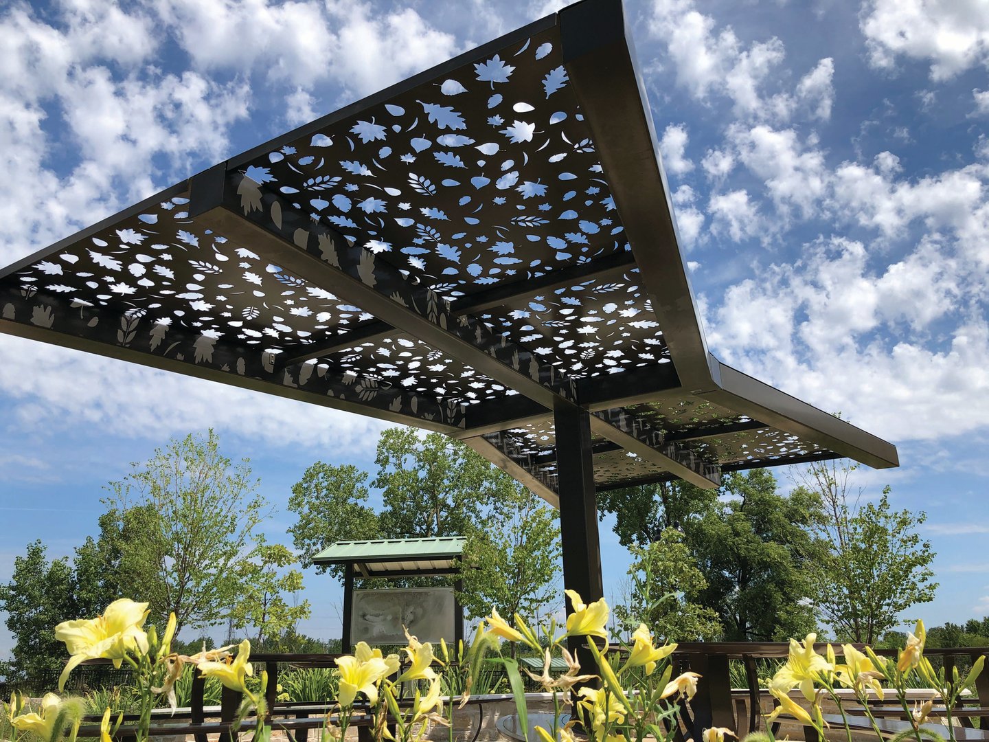 Filtered Light Arbor